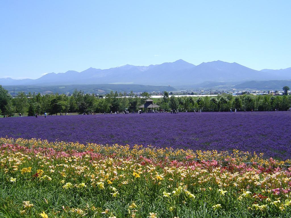 Furano Prince Hotel Exterior foto